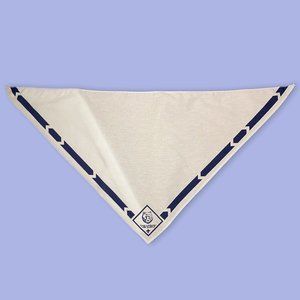 Vintage 60s/70s Cub Scout Rank Neckerchief